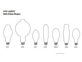 Bulb and Base Shape Diagram